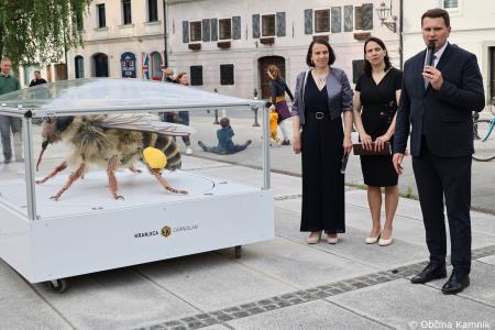 Čebela velikanka potuje po Kamniku (59)